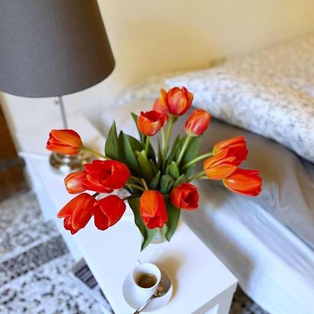 Il Canto De' Cenci Apartment Arezzo Dış mekan fotoğraf