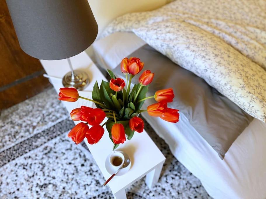 Il Canto De' Cenci Apartment Arezzo Dış mekan fotoğraf
