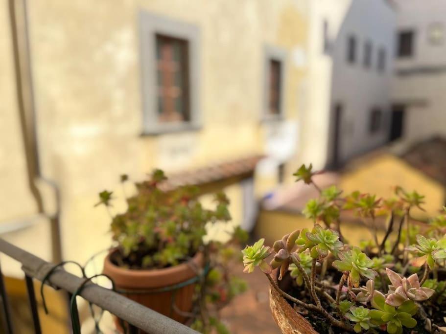 Il Canto De' Cenci Apartment Arezzo Dış mekan fotoğraf